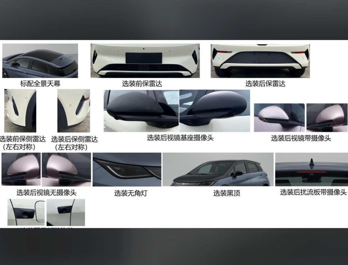 新设计+新选配,比亚迪海豚,再登工信部!