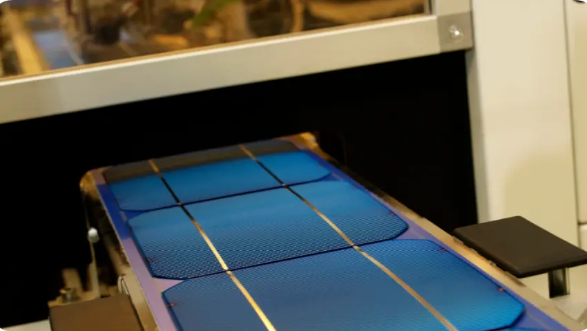 图片来源：Canva