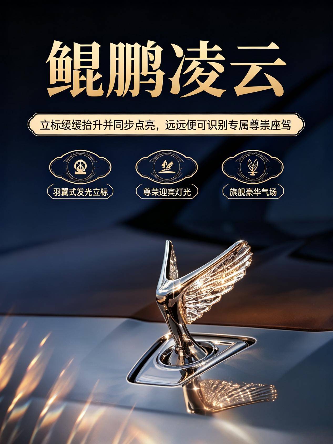 岚图梦想家9立标带文字